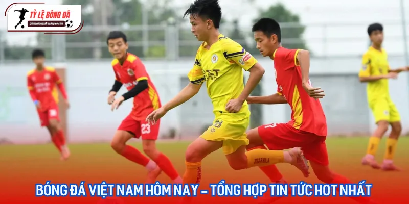 Đội tuyển quốc gia và các câu lạc bộ V-League là tâm điểm của bóng đá Việt Nam hôm nay