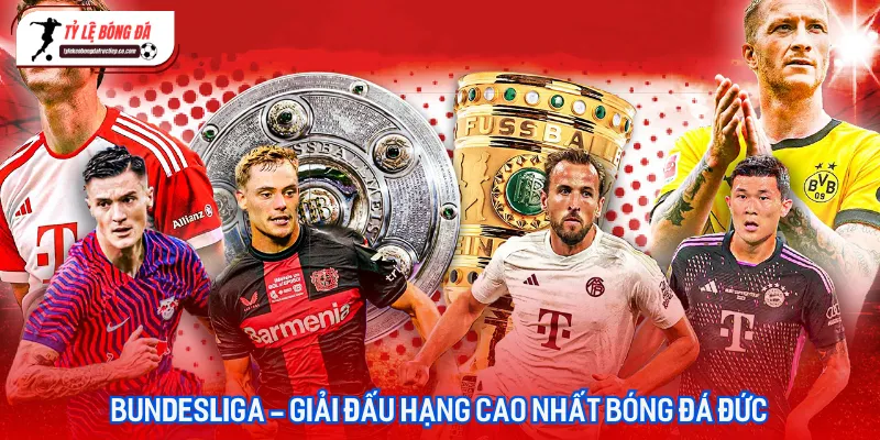 Bundesliga - Tin Tức Giải Vô Địch Quốc Gia Đức Mới Nhất 2026