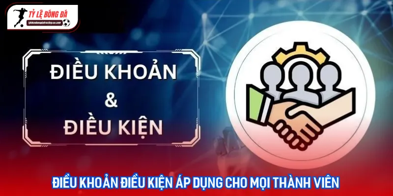 Hệ thống điều khoản điều kiện minh bạch giúp bảo vệ quyền lợi người dùng tại website chúng tôi