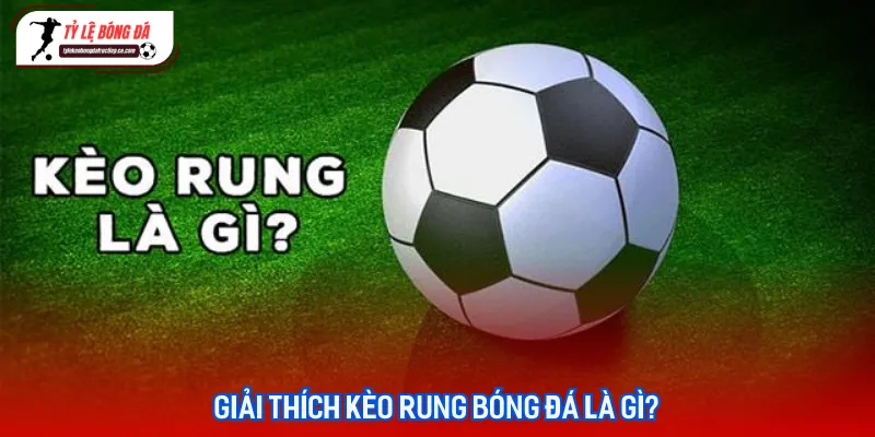 Bảng tỷ lệ kèo rung trực tuyến biến động liên tục theo thời gian thực tại các giải đấu