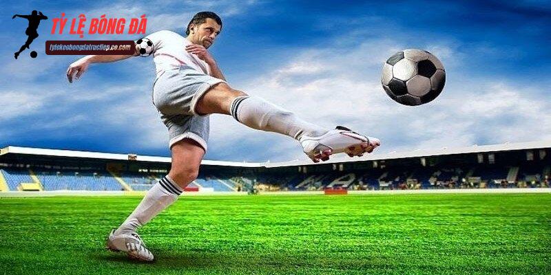 Câu hỏi hay gặp khi khai thác dữ liệu tại tỷ lệ kèo bóng đá